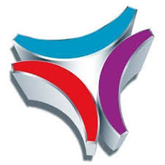 Driestar Logo